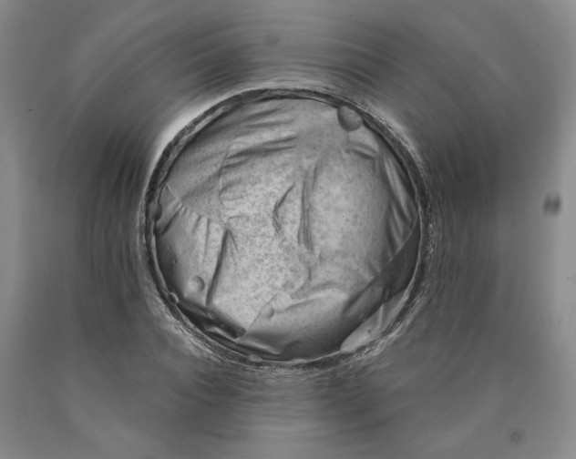 X0000089910928200707271711