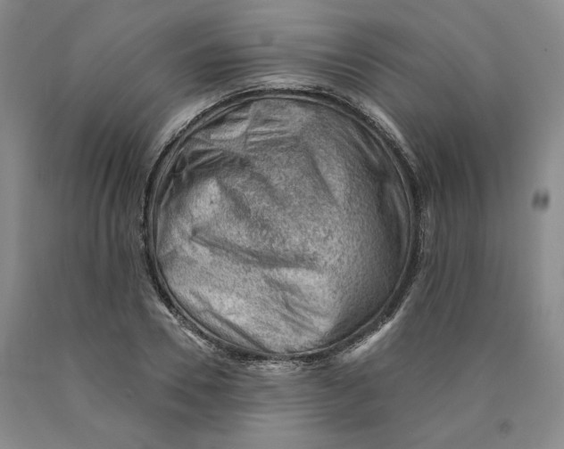 X0000089910930200707271711