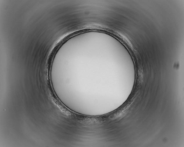 X0000089910931200707271711