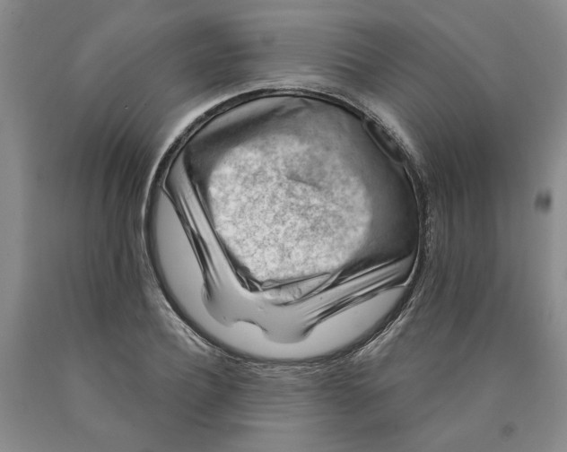 X0000089910932200707271711