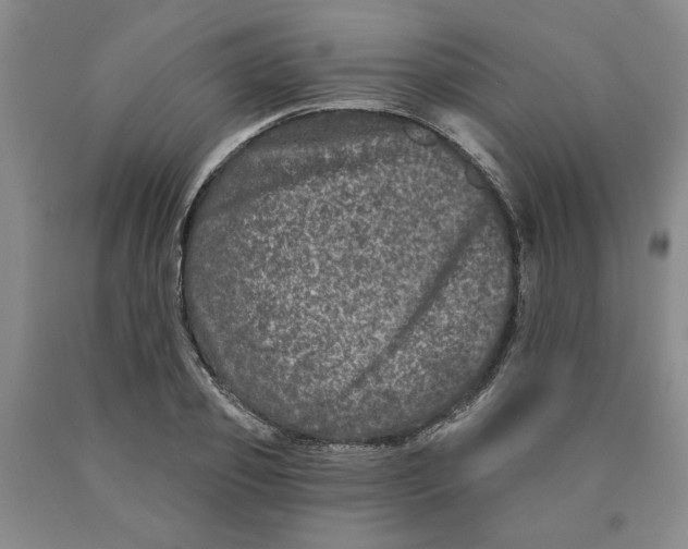 X0000089910933200707271711