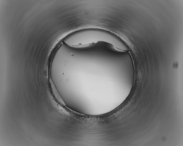 X0000089910934200707271711