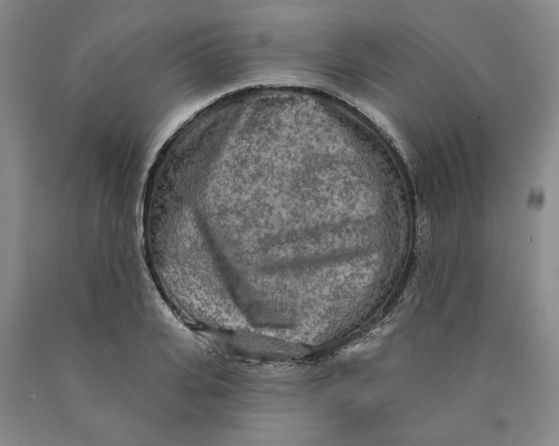 X0000089910935200707271711