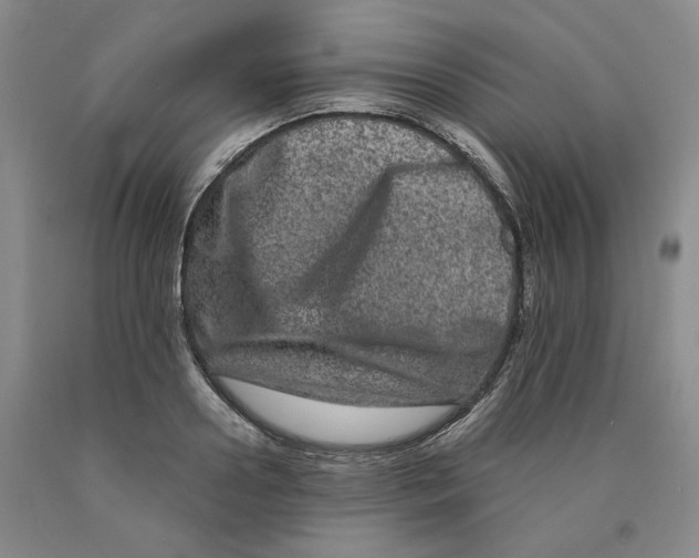 X0000089910938200707271711