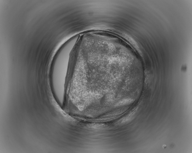 X0000089910939200707271711