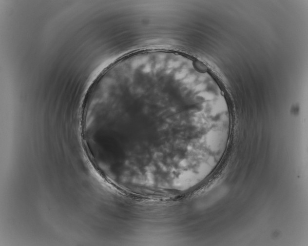 X0000089910941200707271711