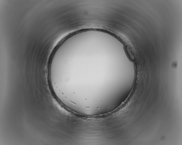 X0000089910942200707271711