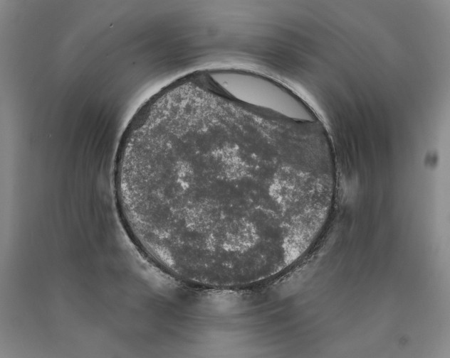 X0000089910943200707271711