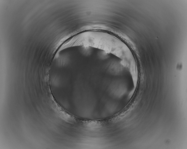 X0000089910945200707271711