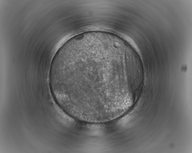 X0000089910946200707271711