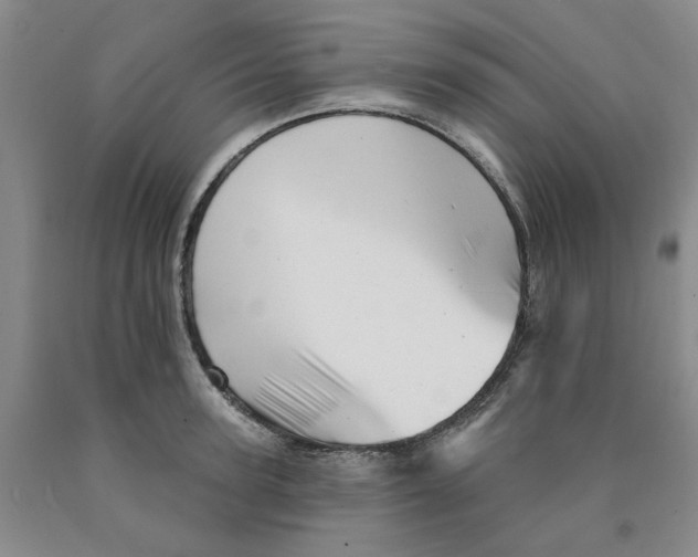 X0000089910947200707271712