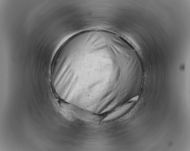 X0000089910948200707271712