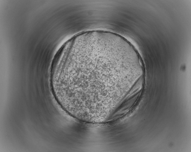 X0000089910949200707271712