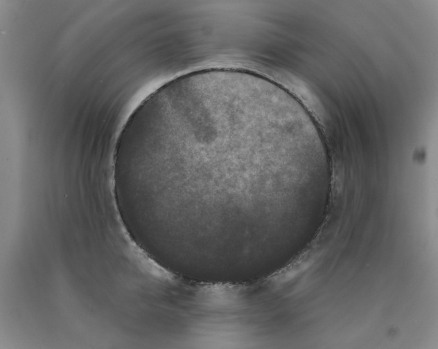 X0000089910950200707271712