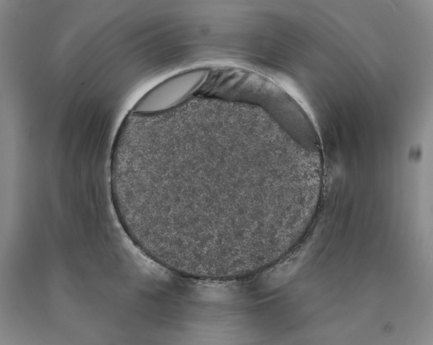 X0000089910951200707271712