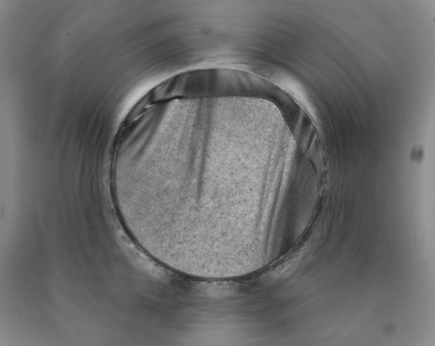 X0000089910952200707271712