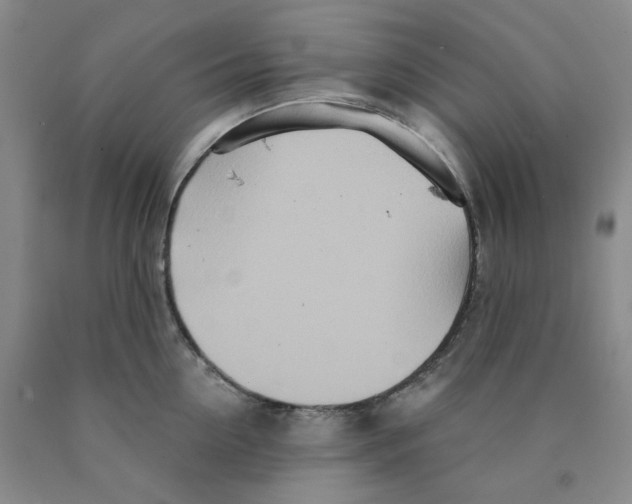 X0000089910954200707271712