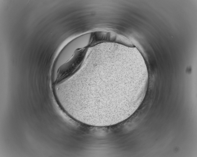 X0000089910955200707271712