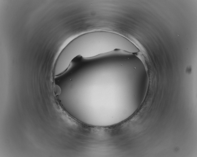 X0000089910956200707271712