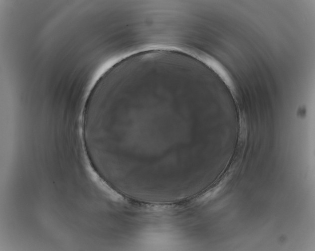 X0000089910958200707271712