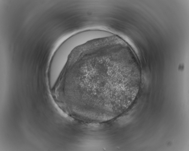 X0000089910959200707271712