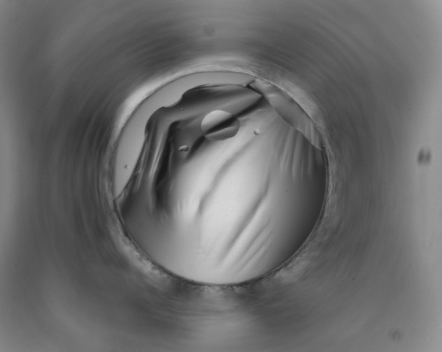 X0000089910960200707271712