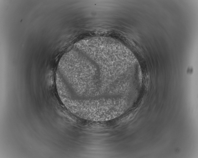 X0000089910962200707271711