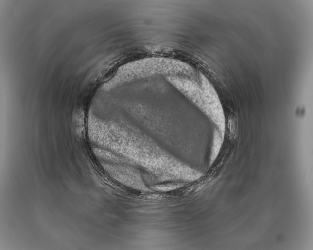 X0000089910963200707271711