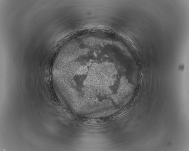 X0000089910966200707271711