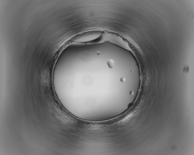 X0000089910969200707271711