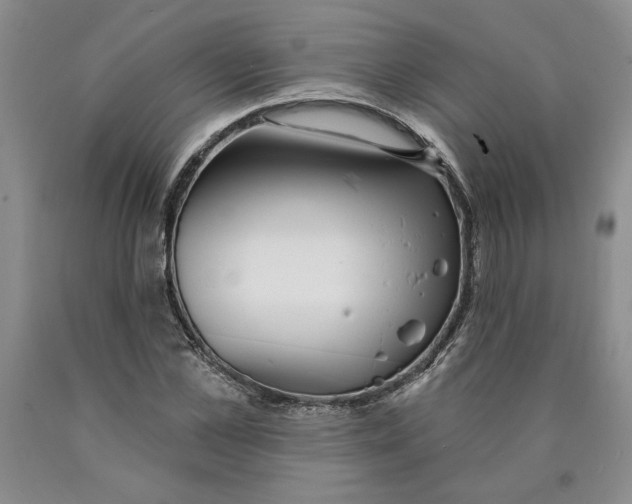 X0000089910973200707271711