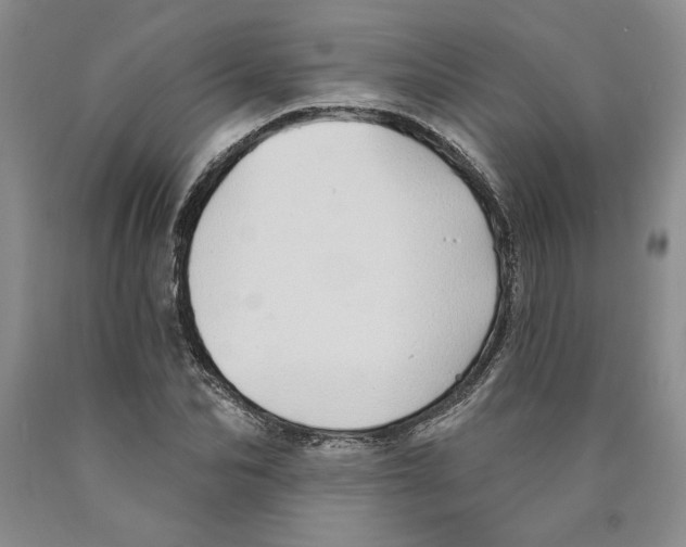 X0000089910974200707271711