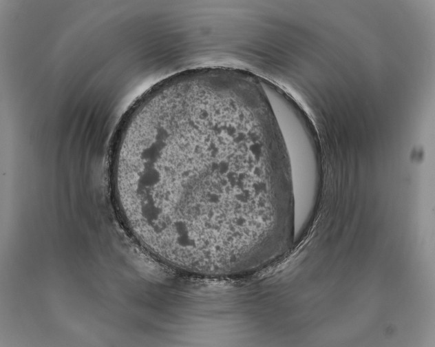 X0000089910975200707271711