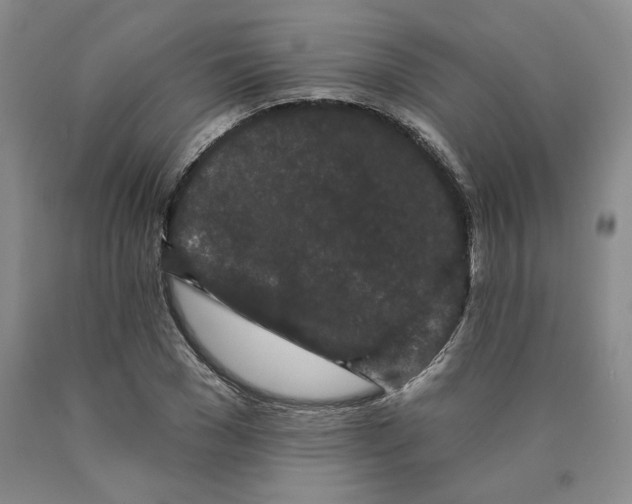 X0000089910977200707271711