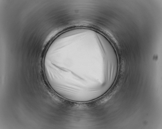 X0000089910978200707271711