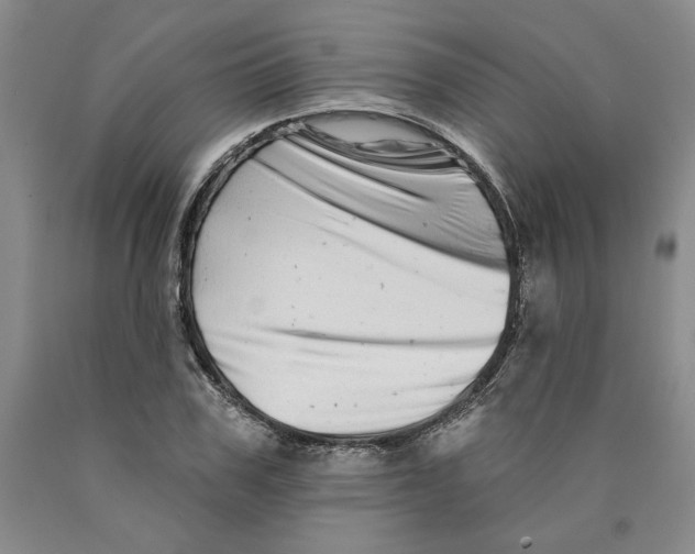 X0000089910979200707271711