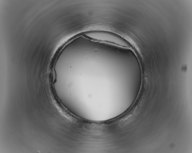 X0000089910981200707271711