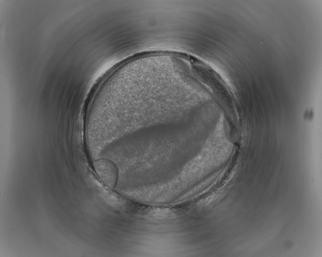 X0000089910982200707271711