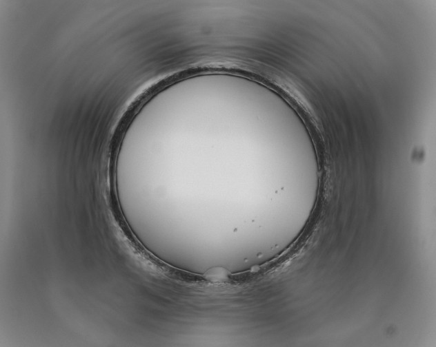 X0000089910984200707271711