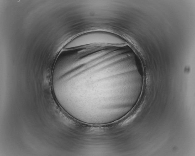 X0000089910985200707271711