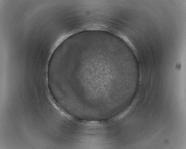 X0000089910986200707271711