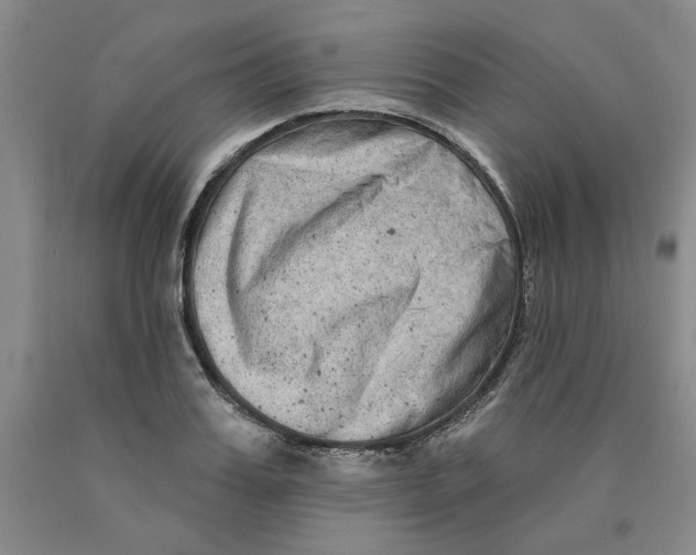 X0000089910987200707271711