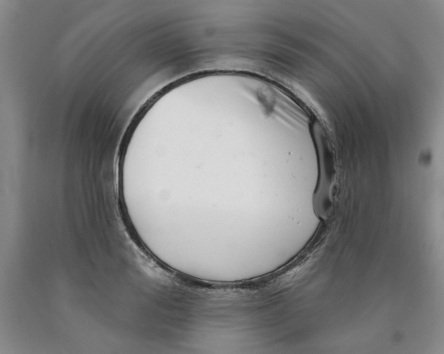 X0000089910988200707271711