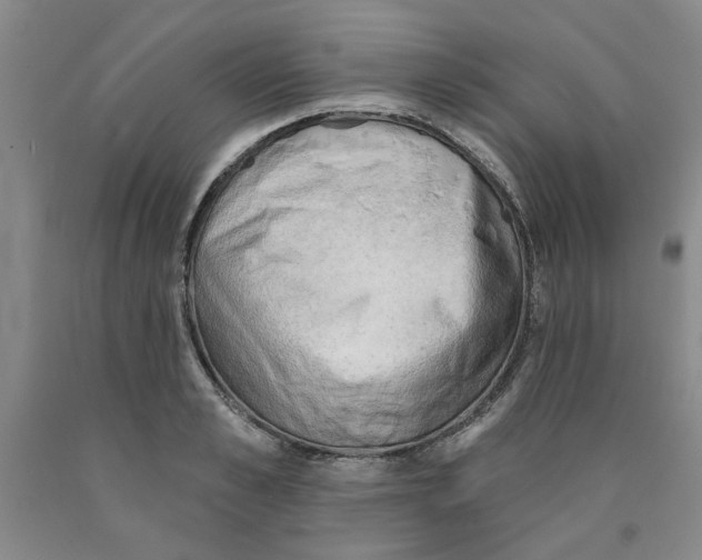 X0000089910989200707271711