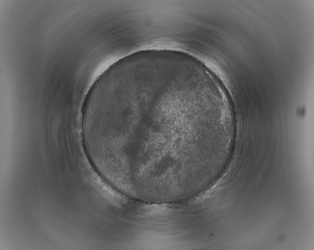 X0000089910990200707271711