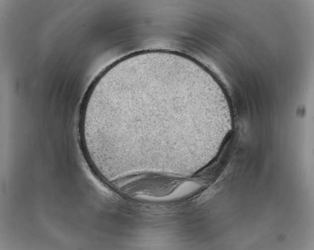 X0000089910991200707271711