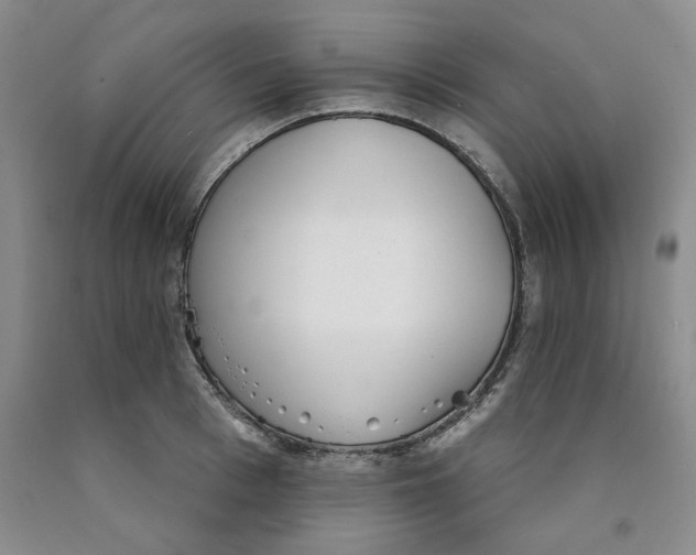 X0000089910993200707271710