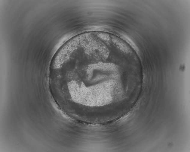 X0000089910994200707271710