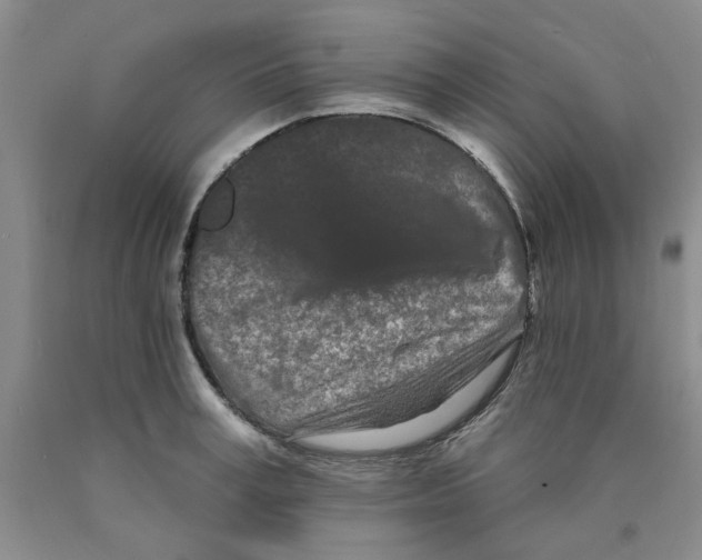 X0000089910995200707271710