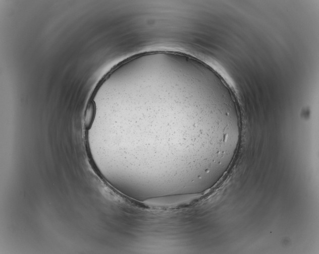 X0000089910996200707271710